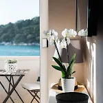 Triton Vendégház 4*
